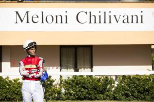 Galoppo_Chilivani_2017_ (2)